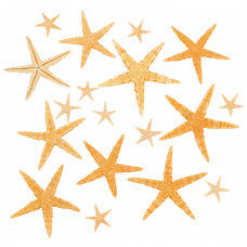 Real Starfish