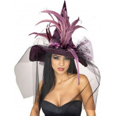 Rubies Costumes Women's Feather Adult Witch Hat